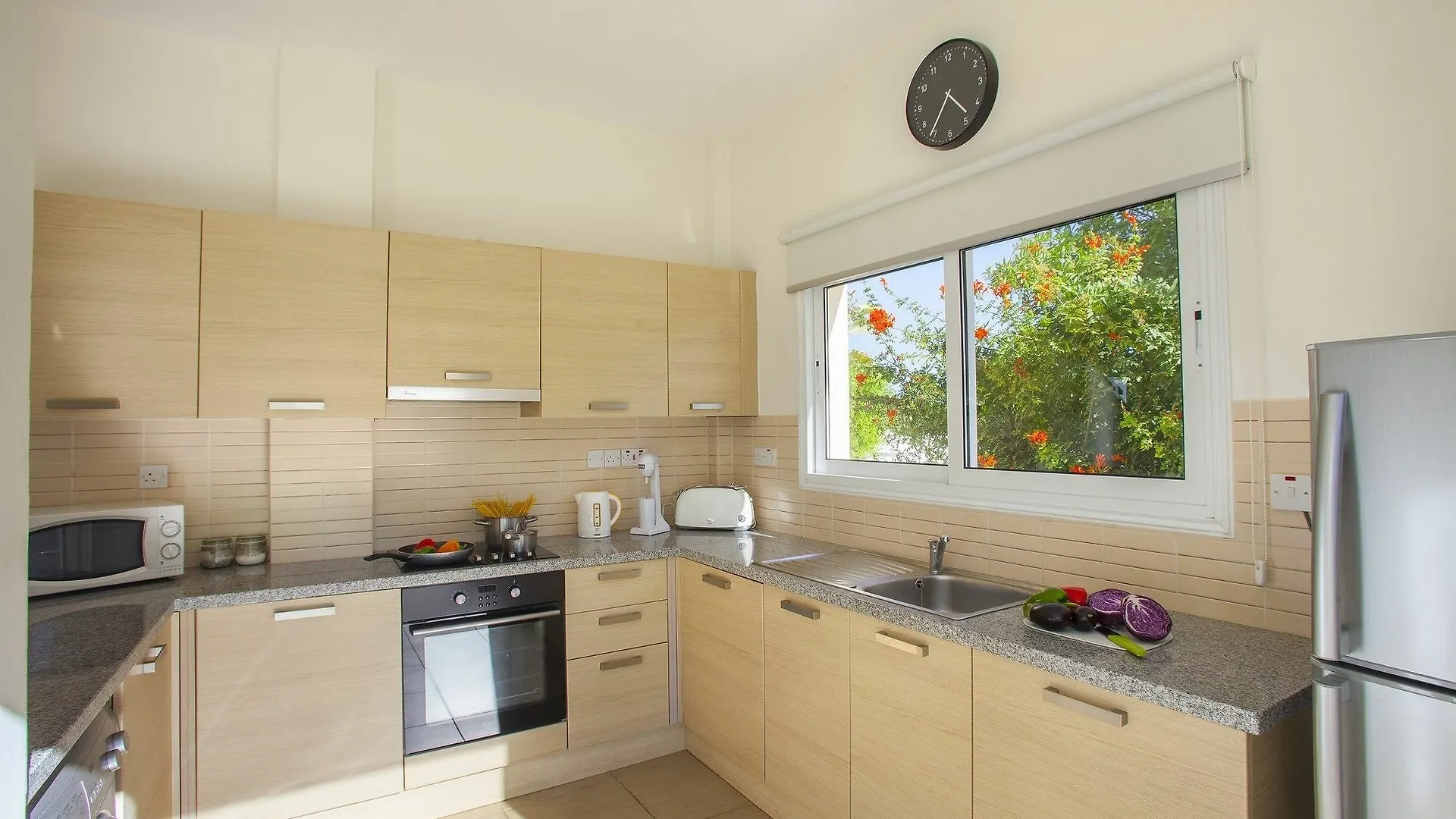Artemis Delfini Villas Protaras Cyprus