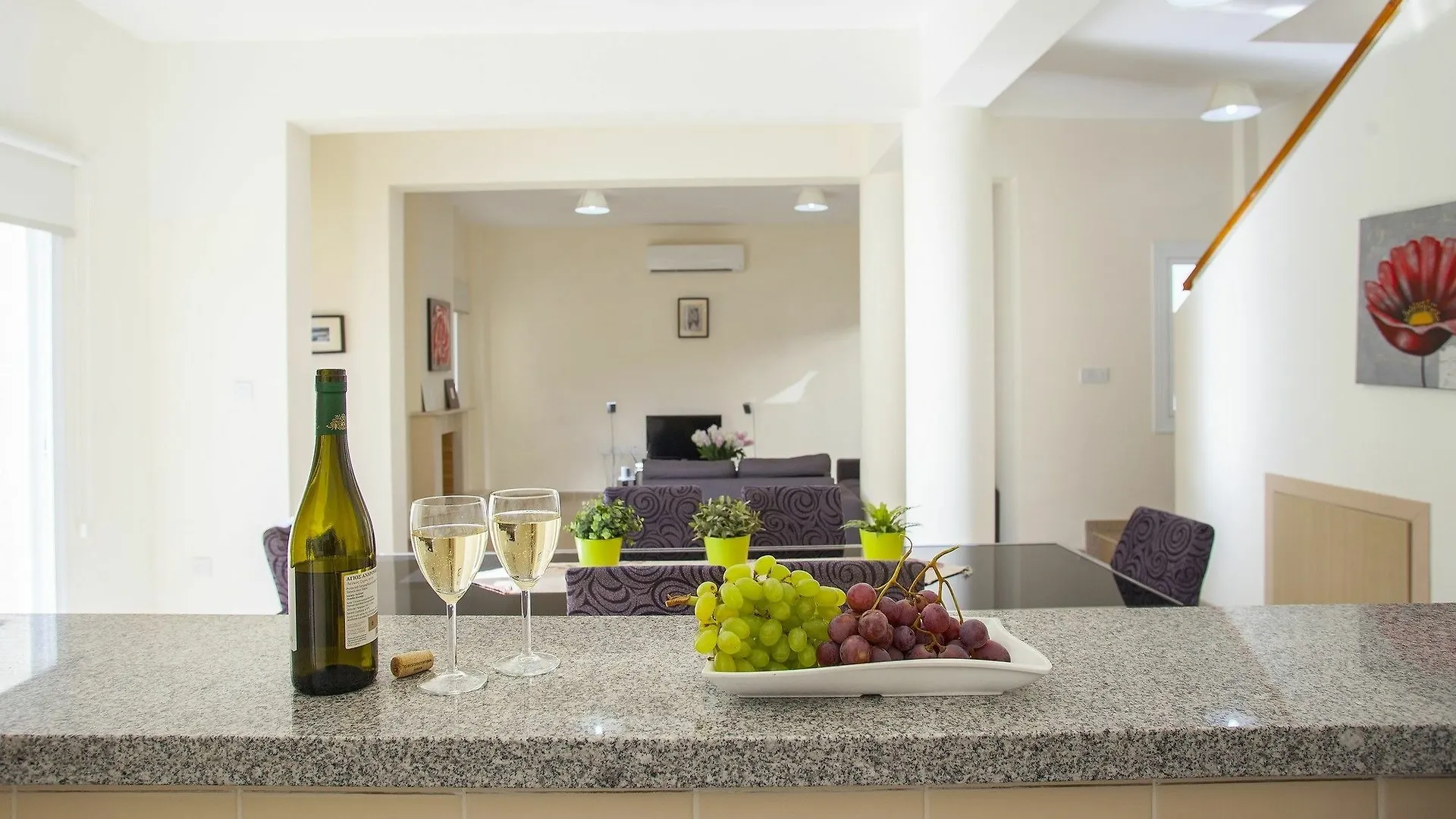 Artemis Delfini Villas Protaras 0*,