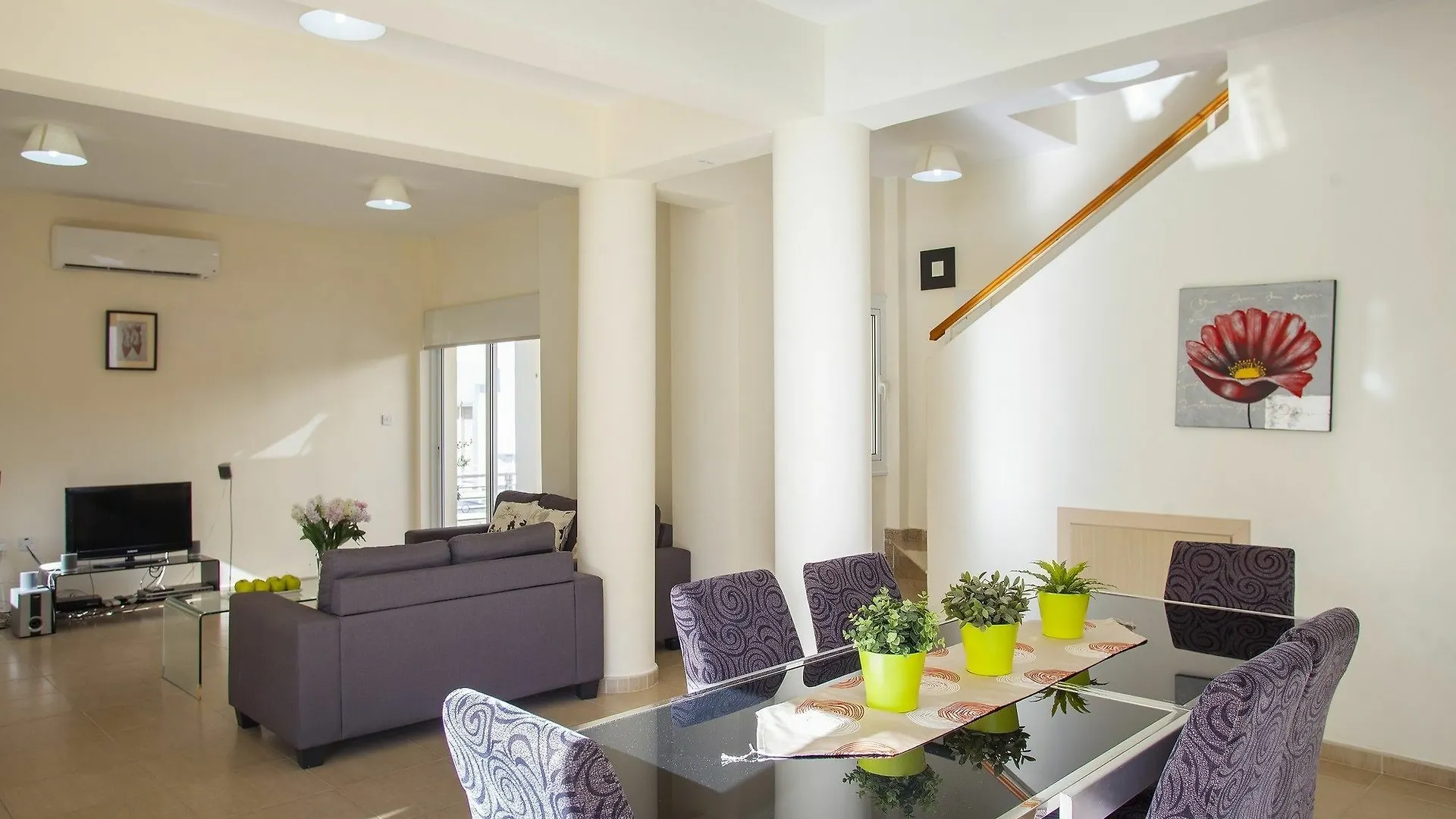 Artemis Delfini Villas Protaras